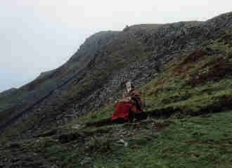 Mountain Greenery
